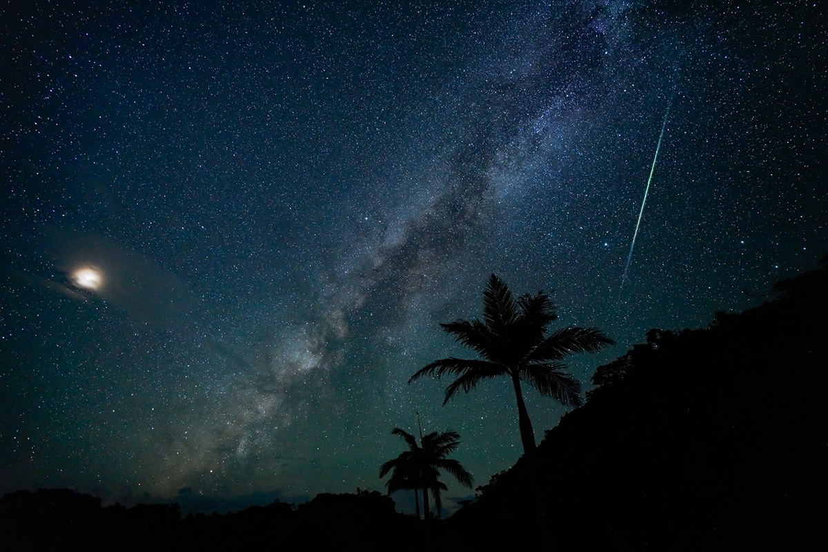 11月の流星群：しし座流星群